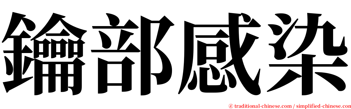 鑰部感染 serif font