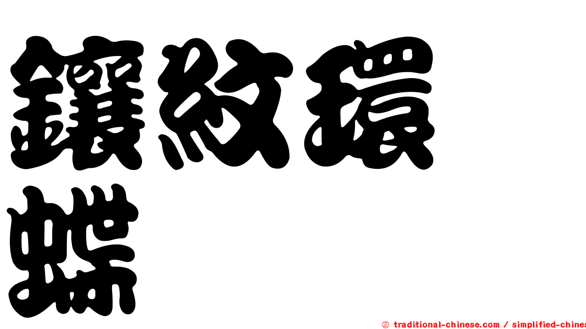 鑲紋環蛺蝶