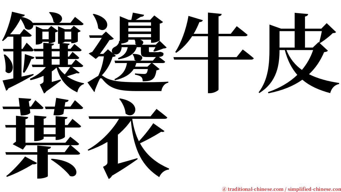 鑲邊牛皮葉衣 serif font