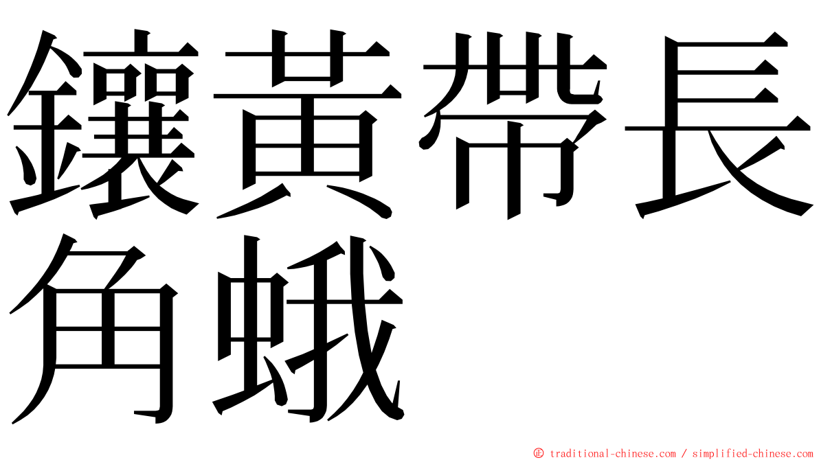 鑲黃帶長角蛾 ming font