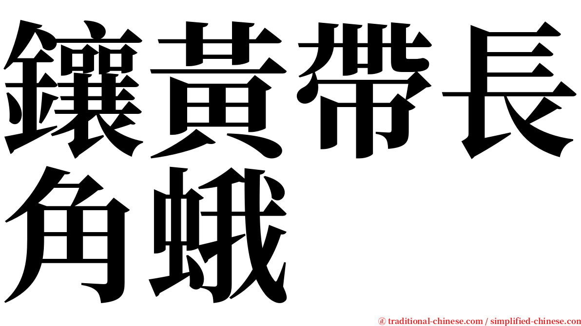 鑲黃帶長角蛾 serif font