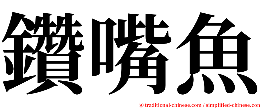 鑽嘴魚 serif font