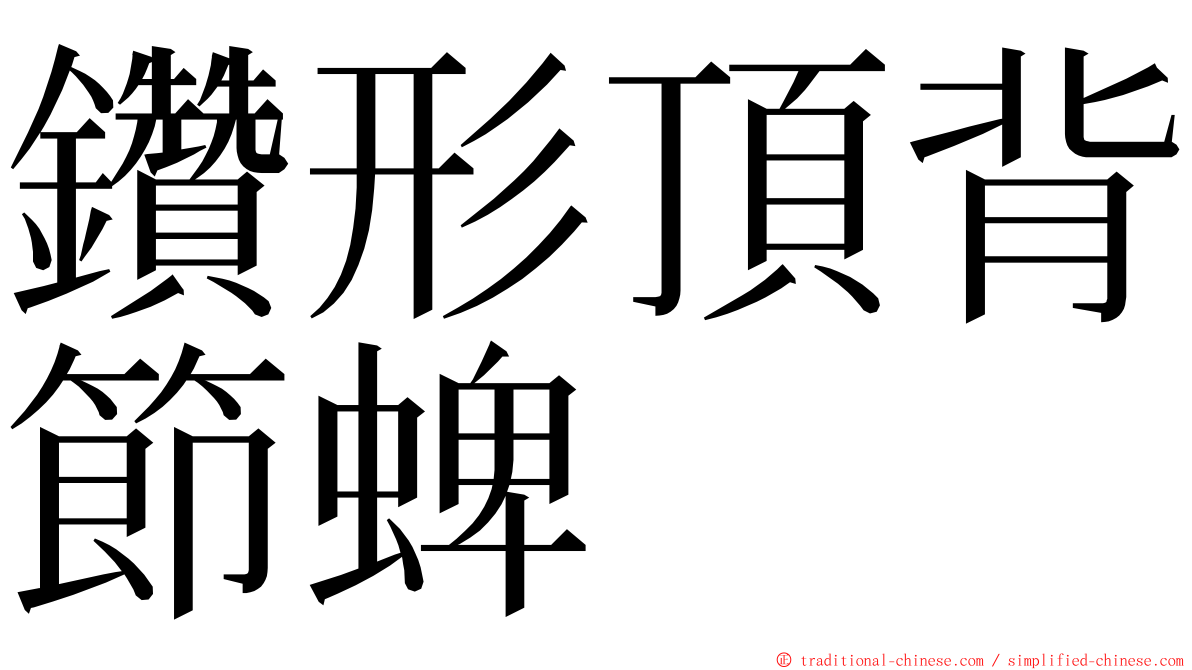 鑽形頂背節蜱 ming font