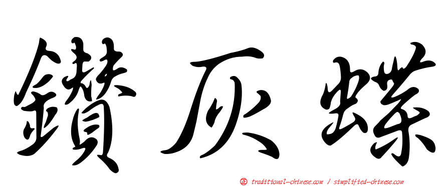 鑽灰蝶