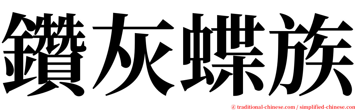 鑽灰蝶族 serif font