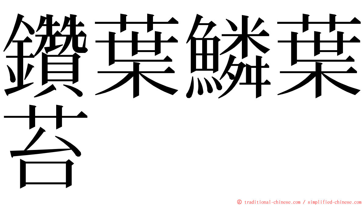 鑽葉鱗葉苔 ming font