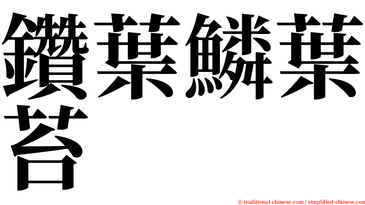 鑽葉鱗葉苔 serif font