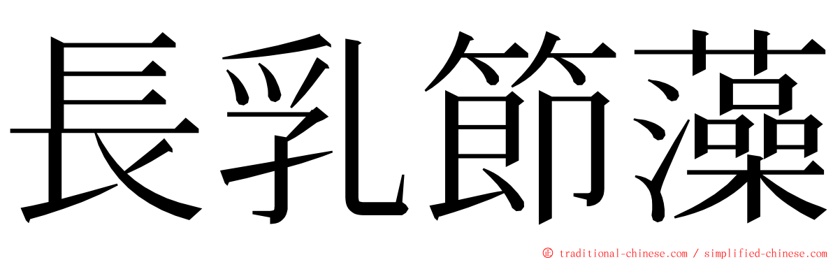 長乳節藻 ming font