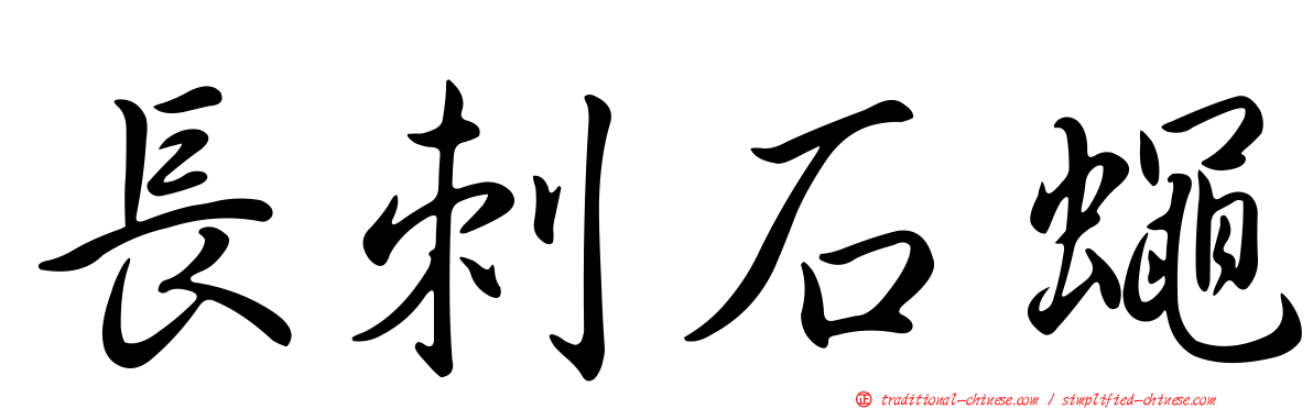 長刺石蠅