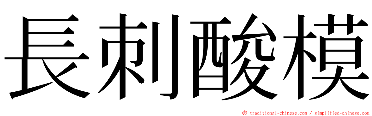 長刺酸模 ming font