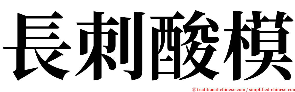 長刺酸模 serif font