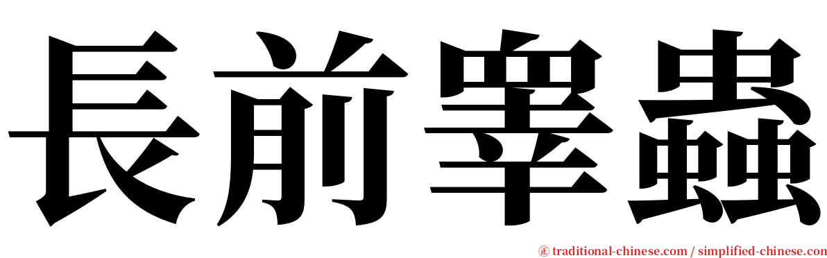 長前睾蟲 serif font