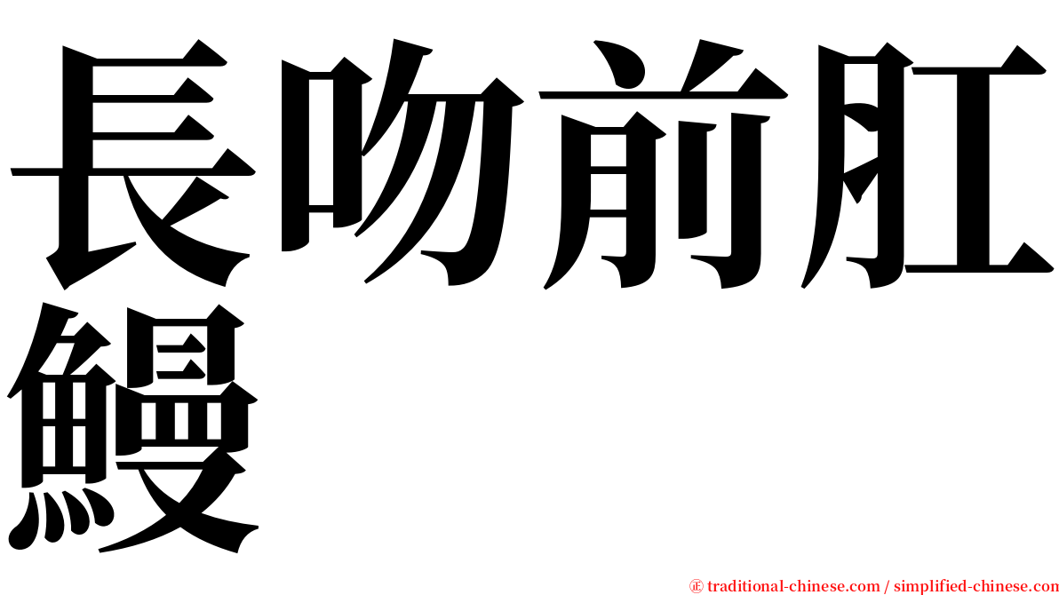 長吻前肛鰻 serif font