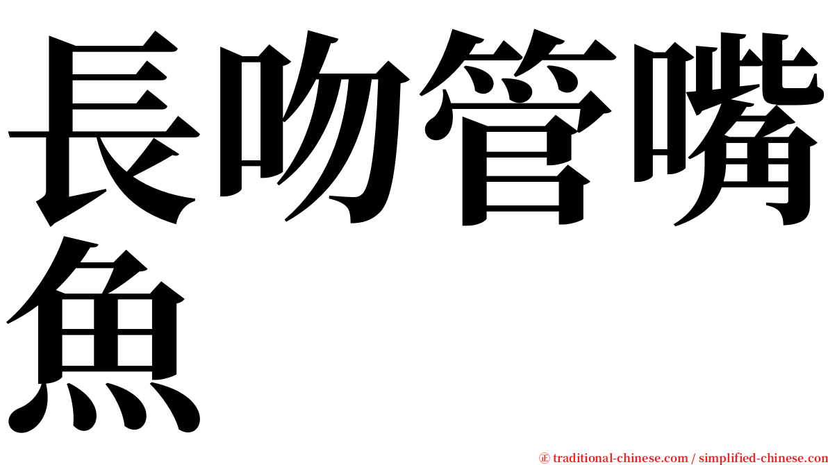 長吻管嘴魚 serif font