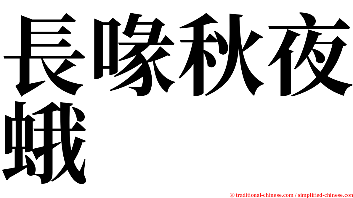 長喙秋夜蛾 serif font