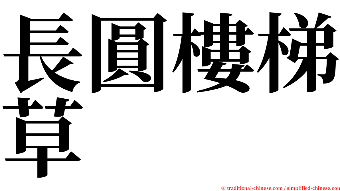 長圓樓梯草 serif font