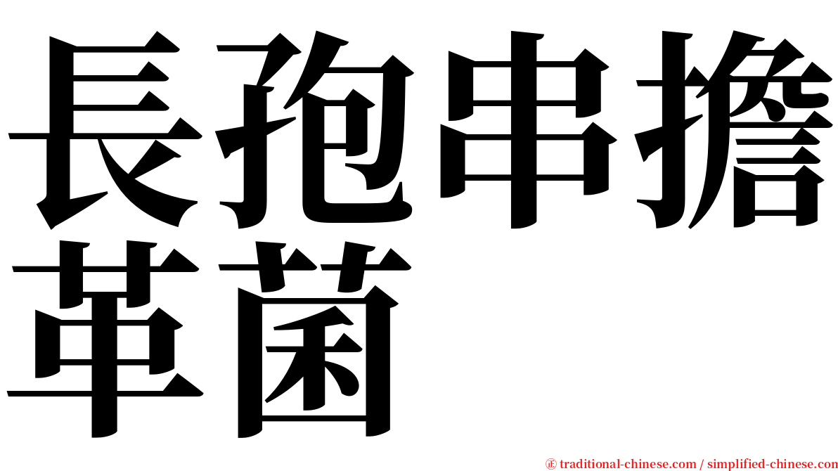 長孢串擔革菌 serif font