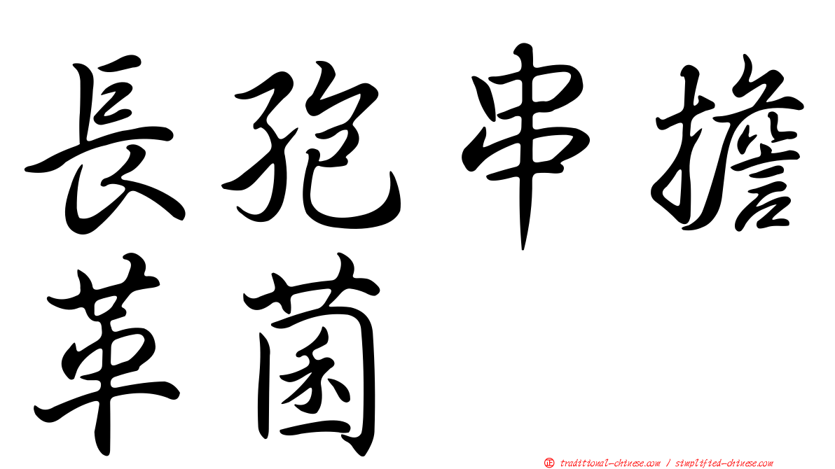 長孢串擔革菌