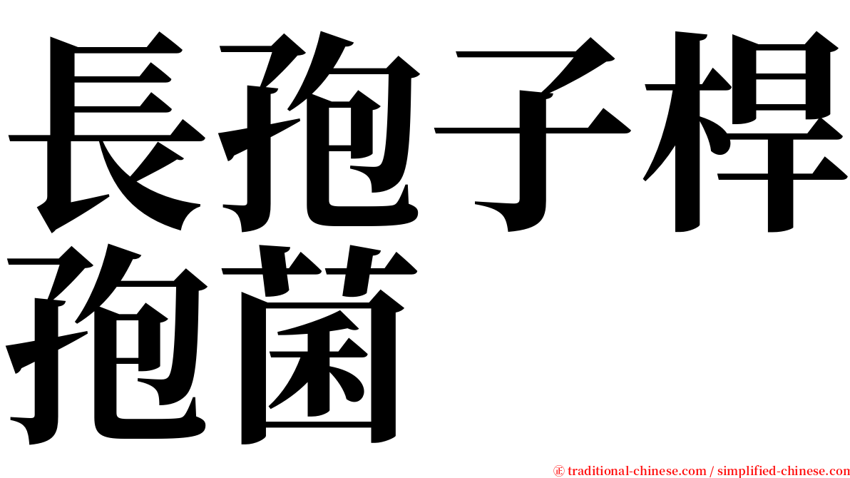 長孢子桿孢菌 serif font