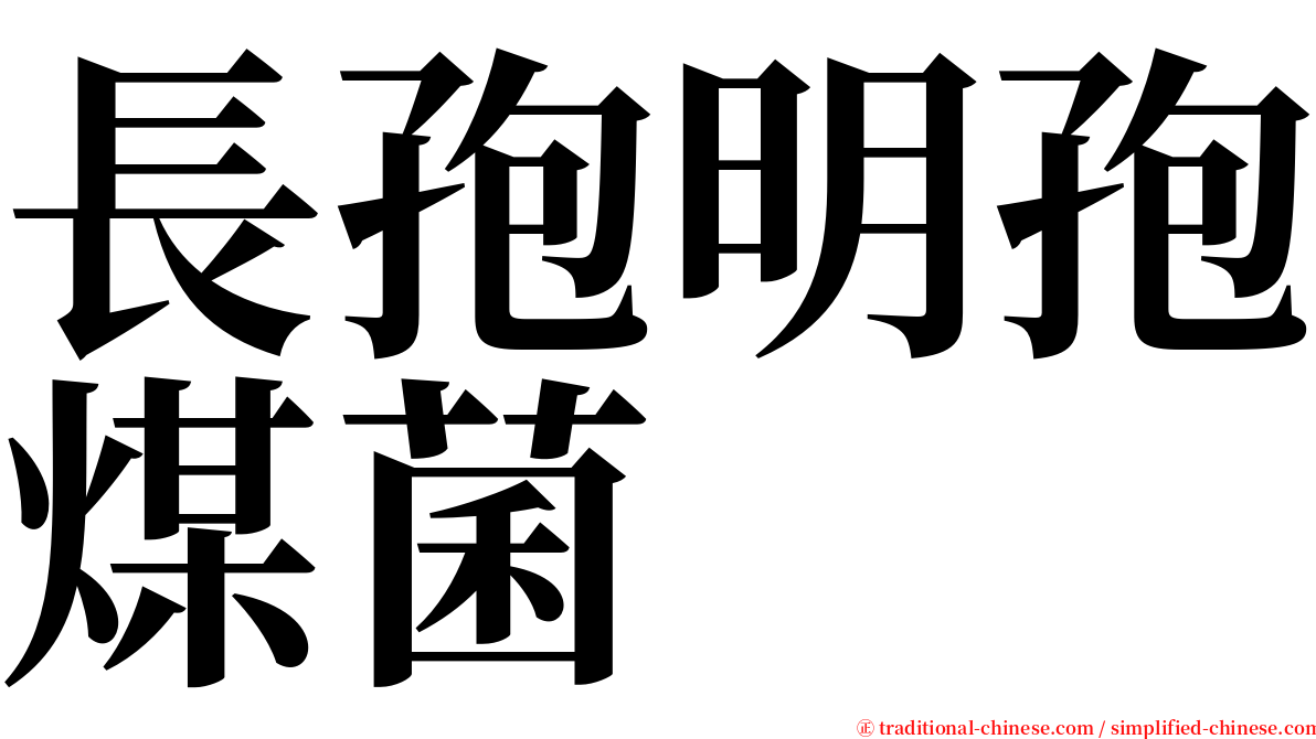 長孢明孢煤菌 serif font