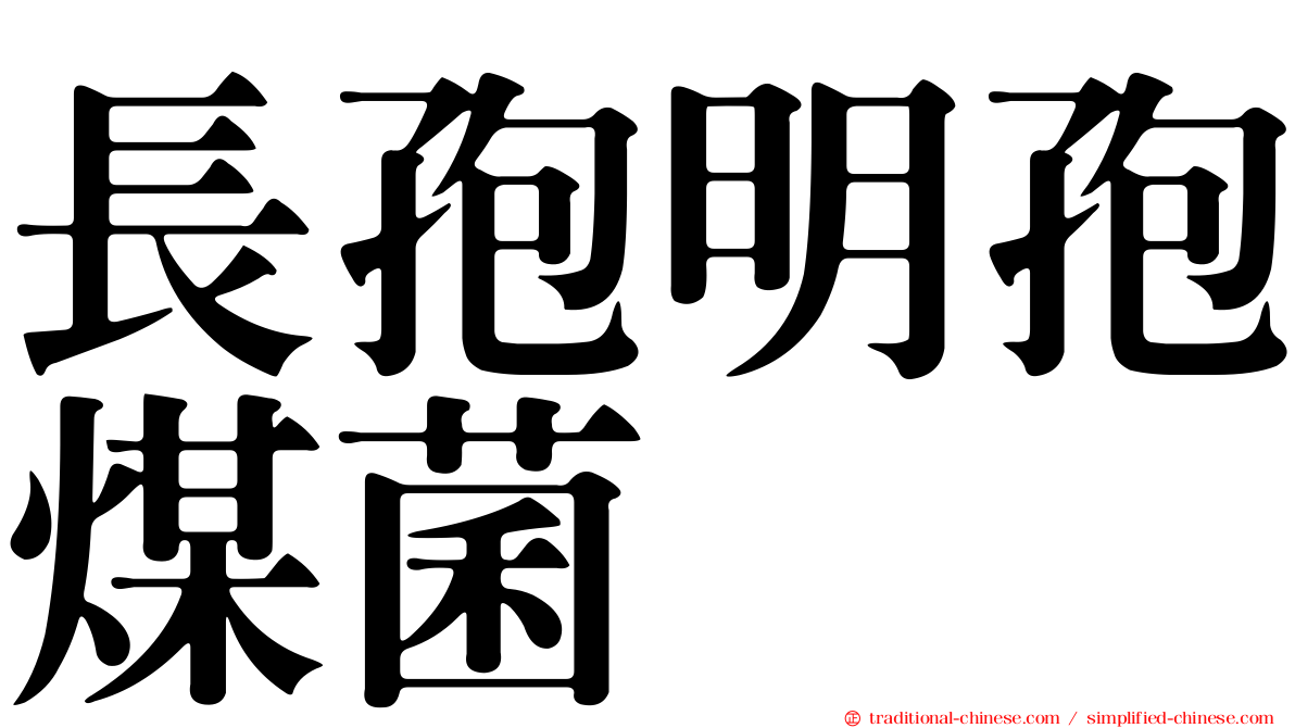 長孢明孢煤菌