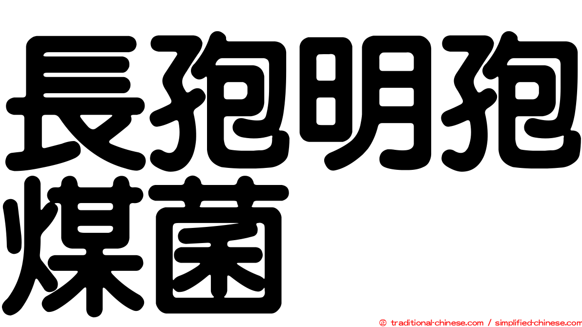 長孢明孢煤菌
