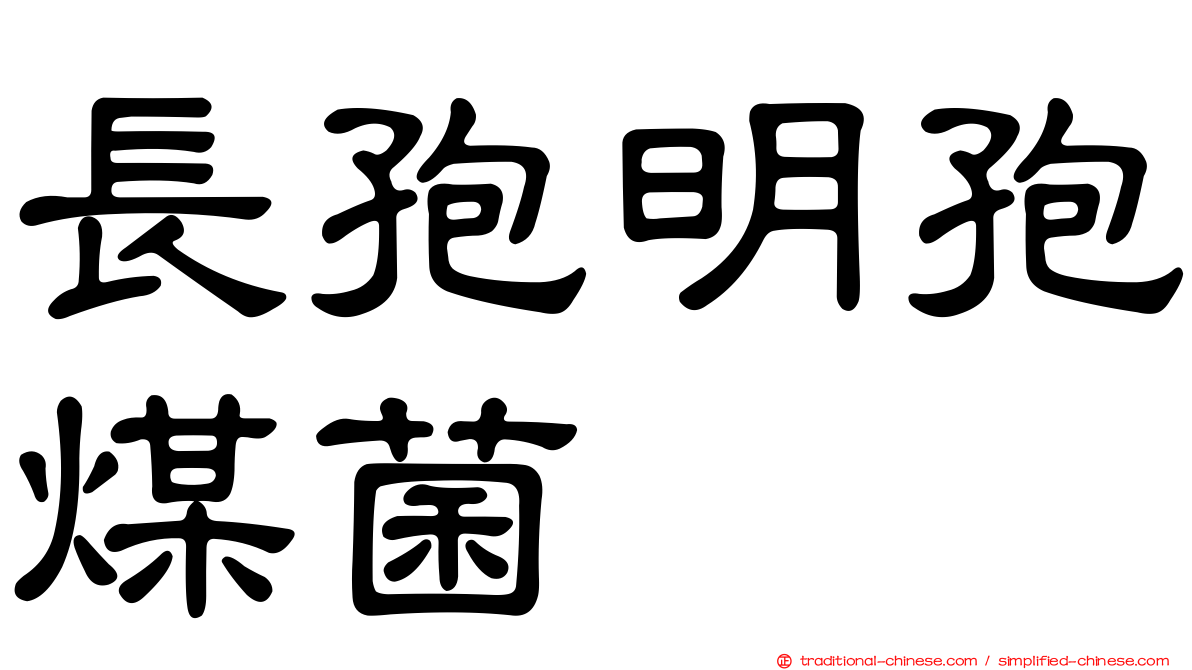 長孢明孢煤菌