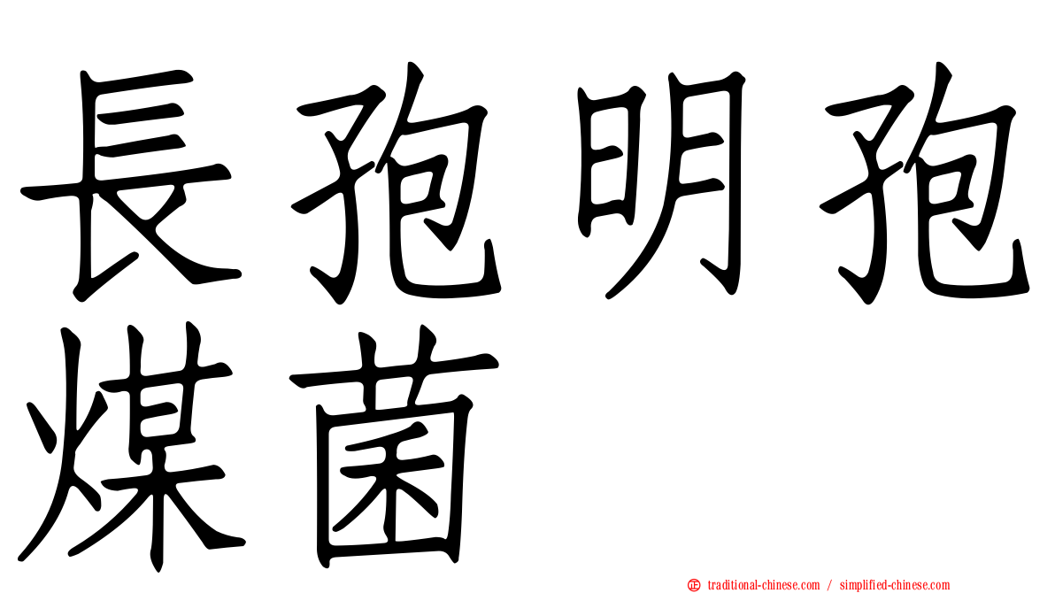 長孢明孢煤菌