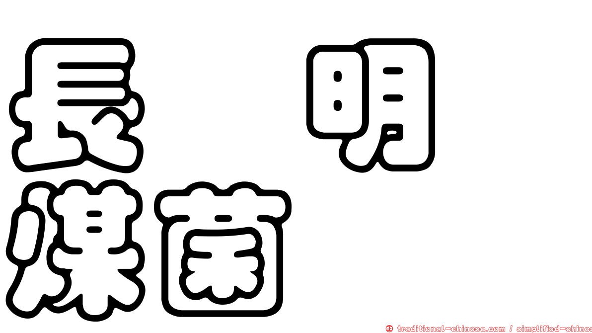 長孢明孢煤菌
