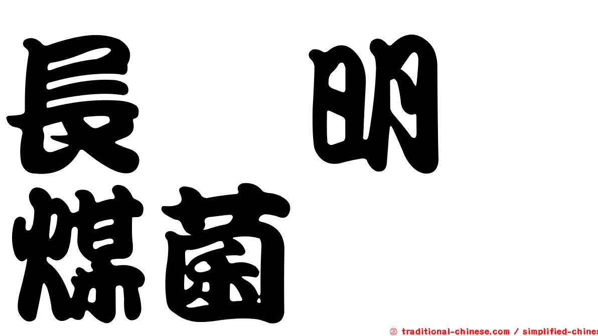 長孢明孢煤菌