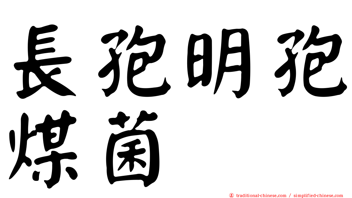 長孢明孢煤菌