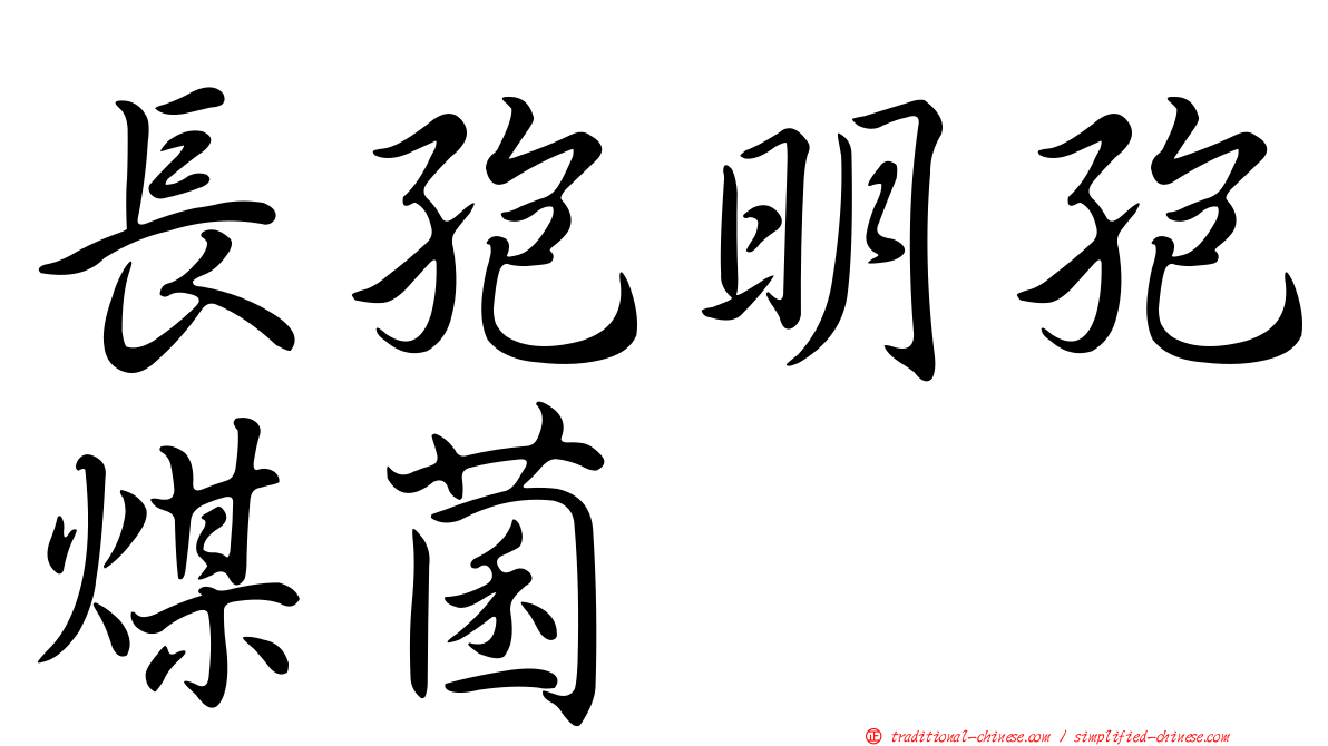 長孢明孢煤菌