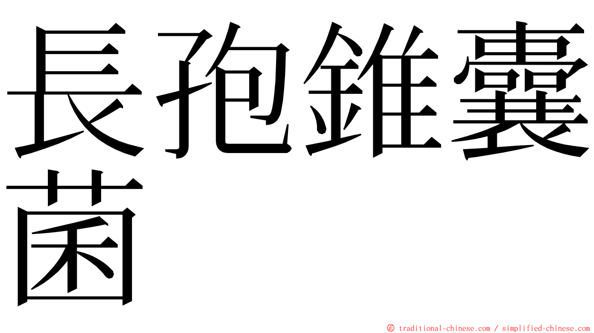 長孢錐囊菌 ming font