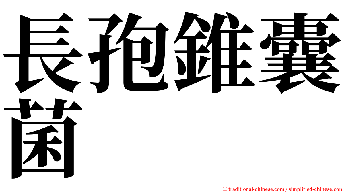 長孢錐囊菌 serif font