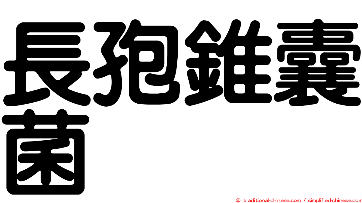 長孢錐囊菌