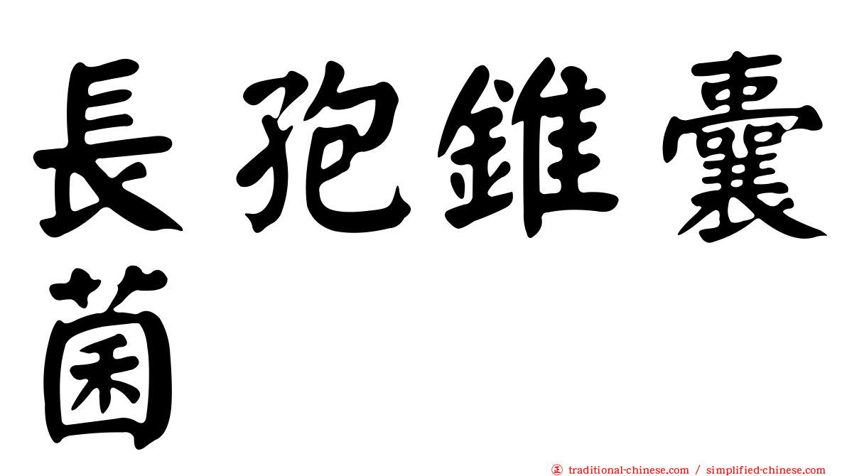 長孢錐囊菌