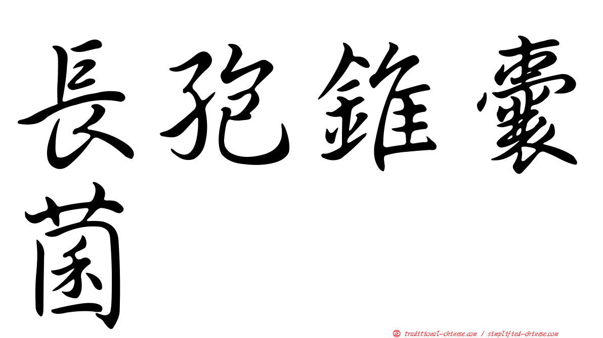 長孢錐囊菌