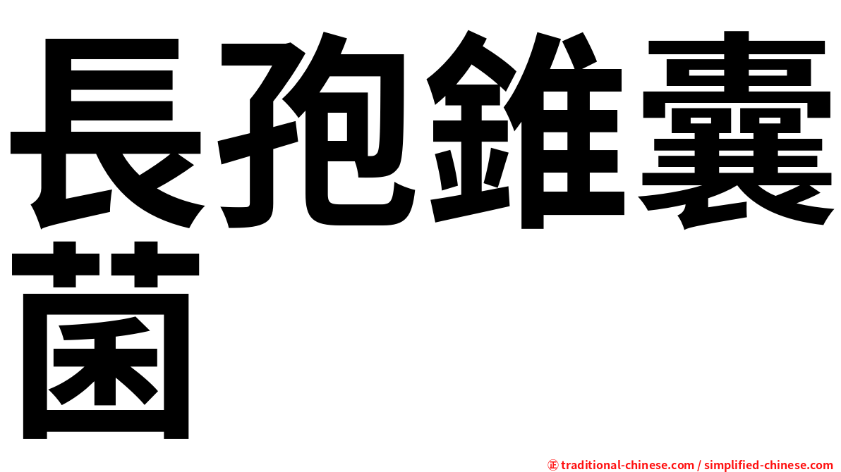 長孢錐囊菌