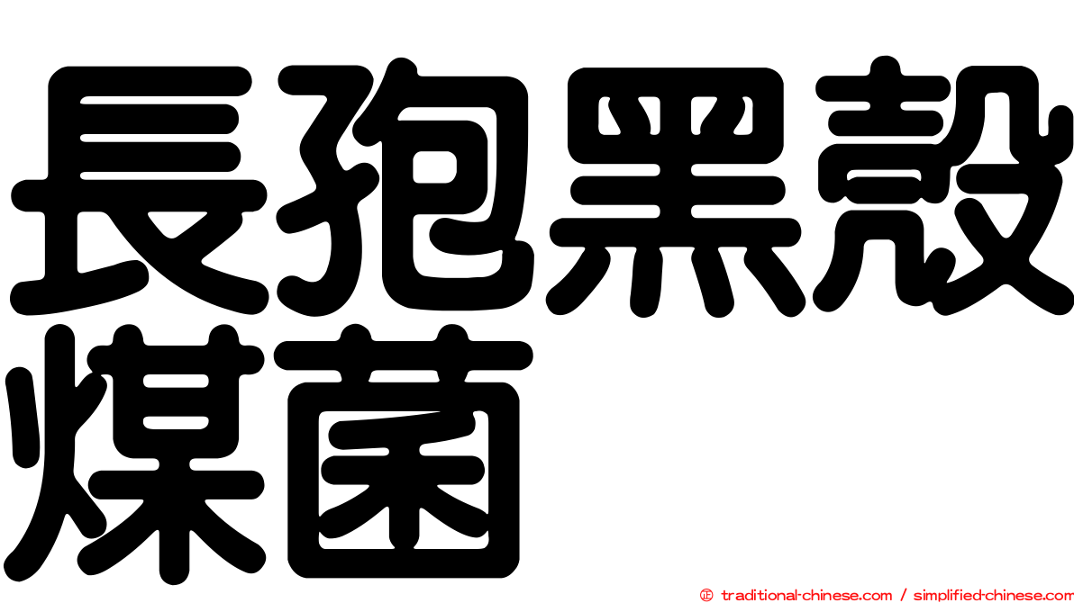 長孢黑殼煤菌