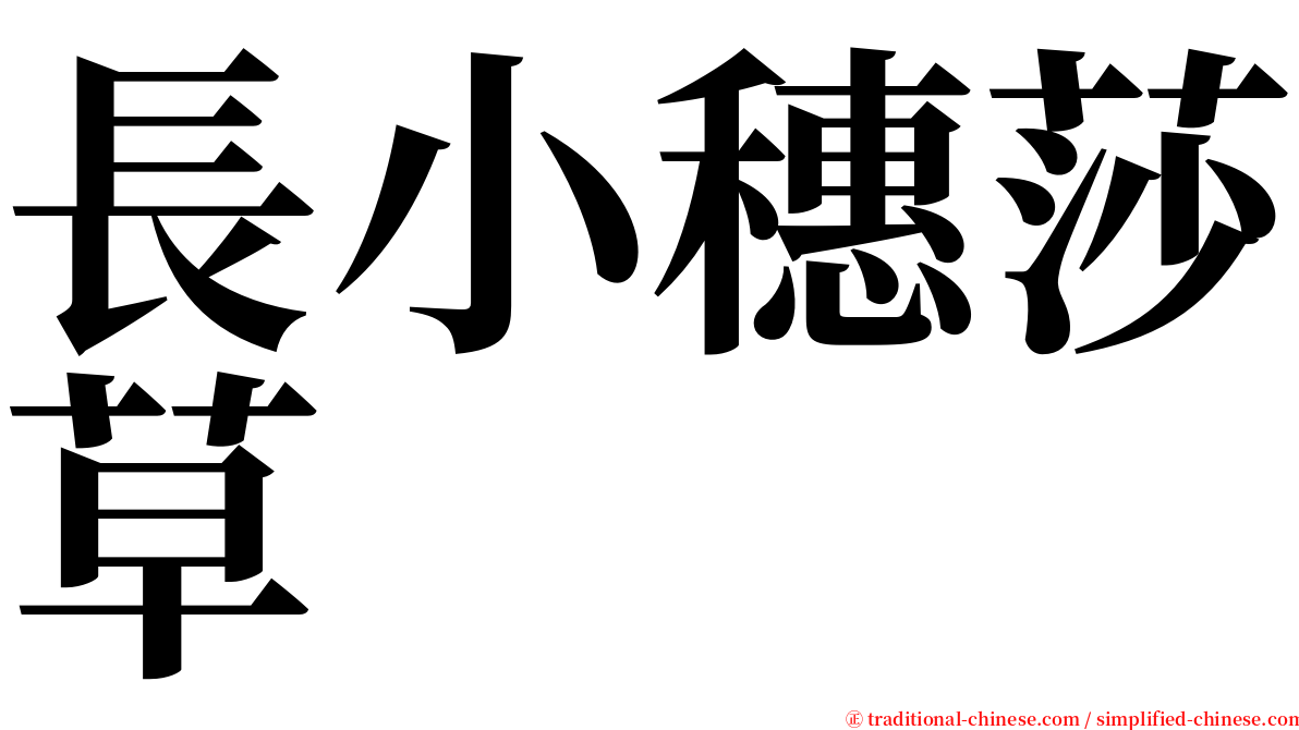 長小穗莎草 serif font