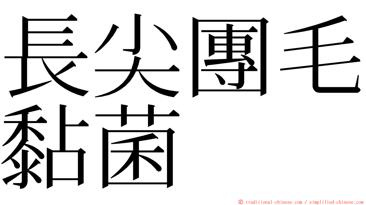 長尖團毛黏菌 ming font