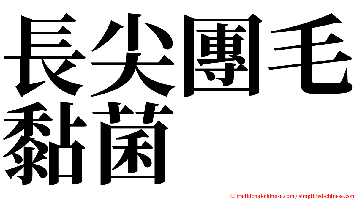 長尖團毛黏菌 serif font