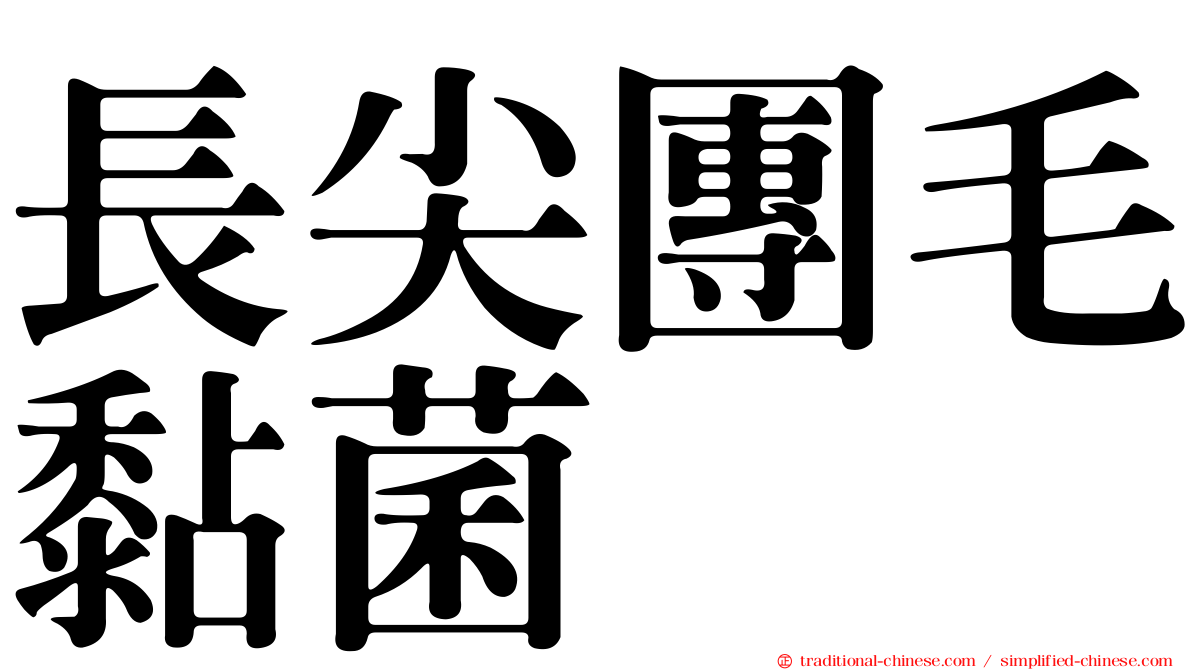 長尖團毛黏菌