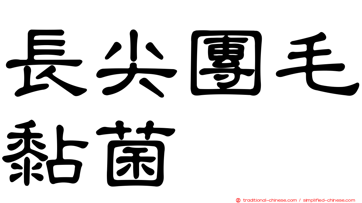 長尖團毛黏菌