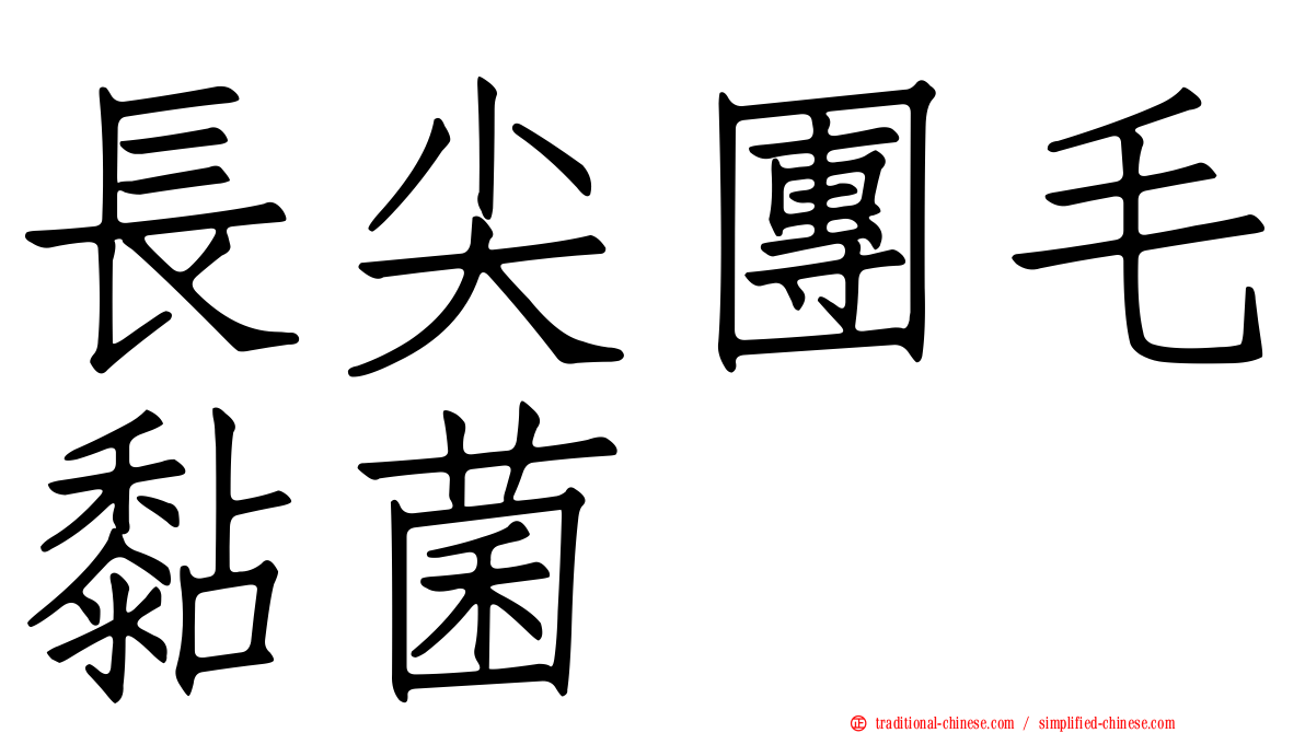 長尖團毛黏菌