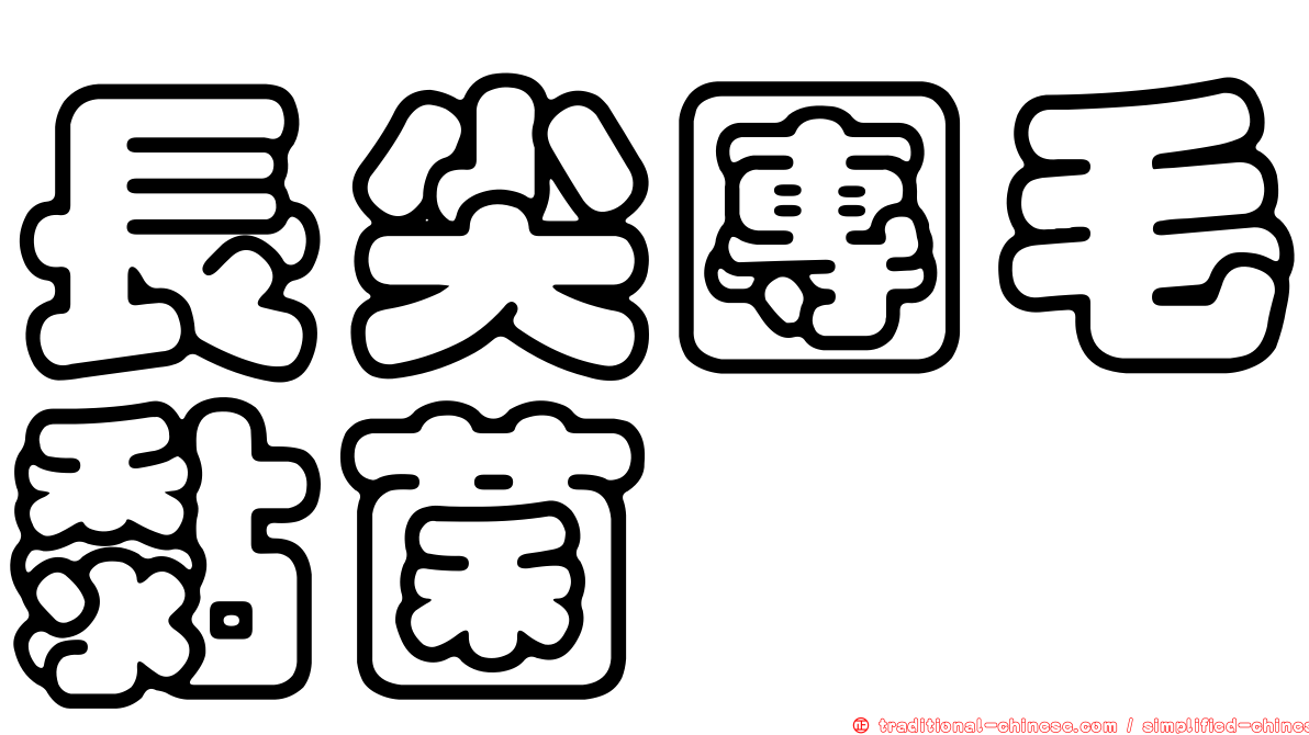 長尖團毛黏菌