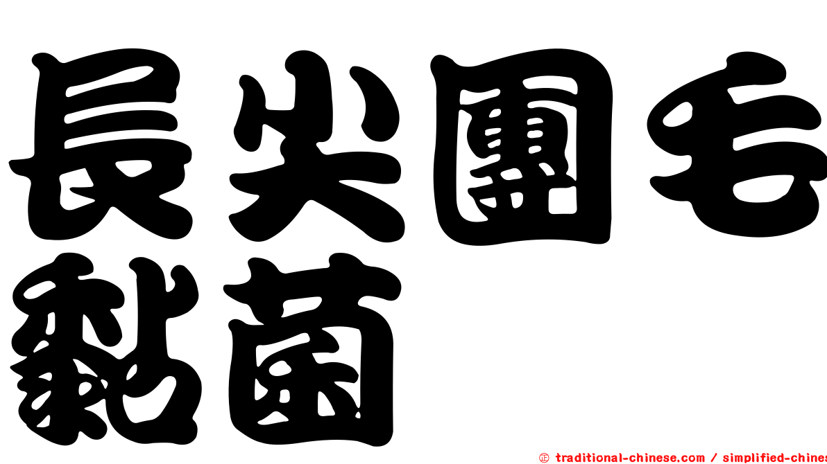 長尖團毛黏菌