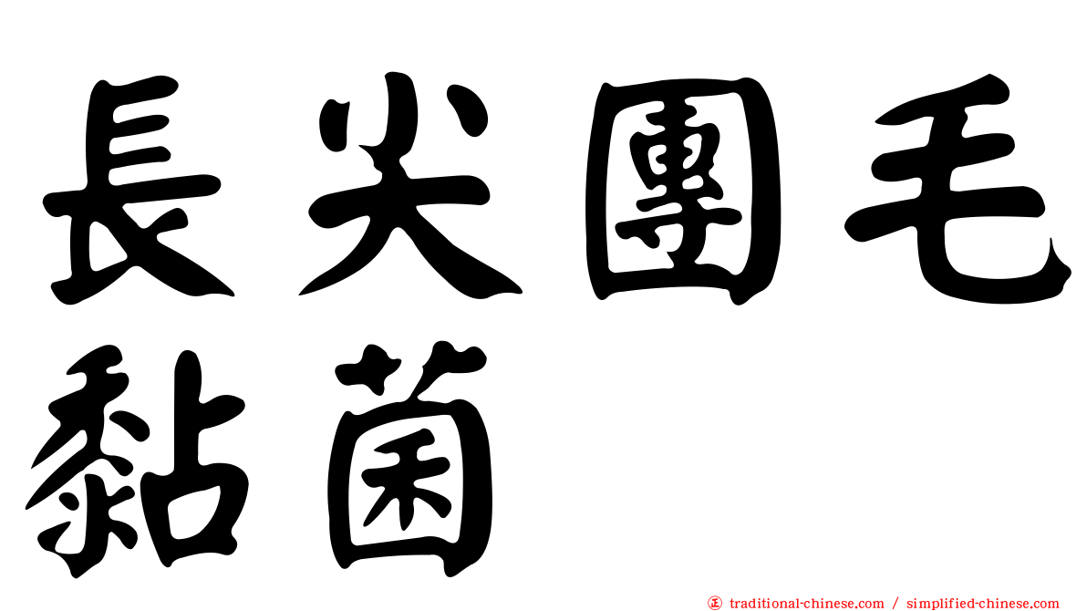 長尖團毛黏菌