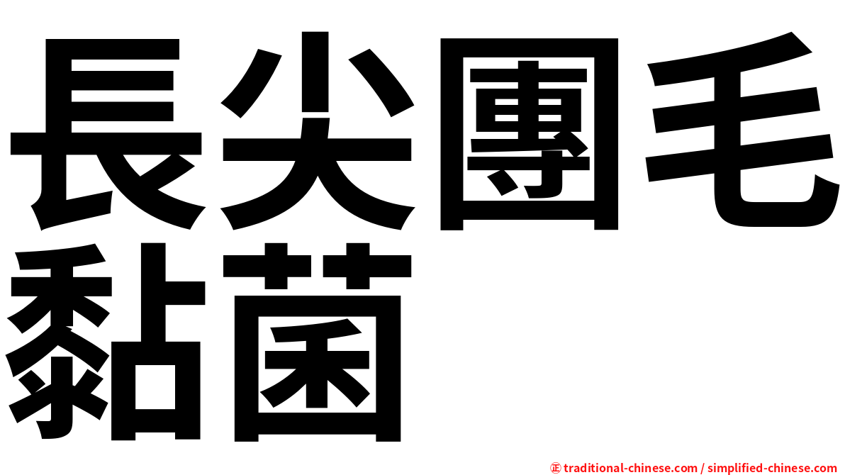長尖團毛黏菌