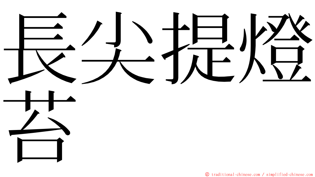 長尖提燈苔 ming font